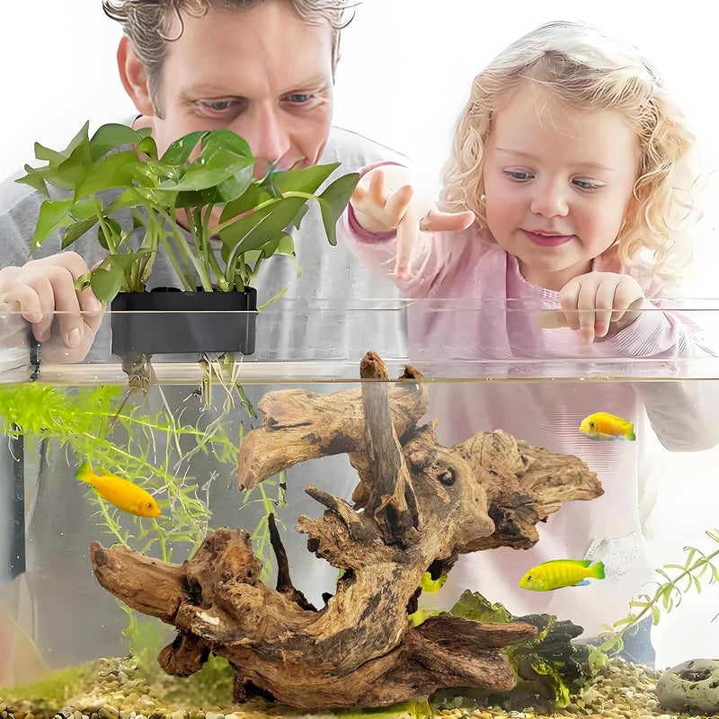 kathson Large Natural Aquarium Driftwood Reptiles Branches Terrarium Ornament Sinkable Wood Decor Trunk Fish Tank Log Habitat Decoration (12"-17") - Image 5