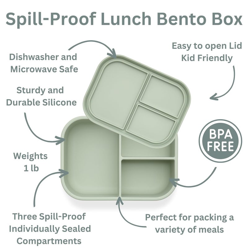 Ali+Oli Silicone Bento Box (Pine) Lunch Box for Kids, Toddlers, Preschoolers & Adults | BPA-Free and Spill-Proof | Ideal for School, and On-the-Go Meals| Perfect for Lunch, Snacks, and Meals - Image 4