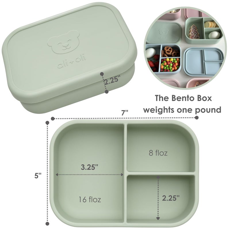 Ali+Oli Silicone Bento Box (Pine) Lunch Box for Kids, Toddlers, Preschoolers & Adults | BPA-Free and Spill-Proof | Ideal for School, and On-the-Go Meals| Perfect for Lunch, Snacks, and Meals - Image 2