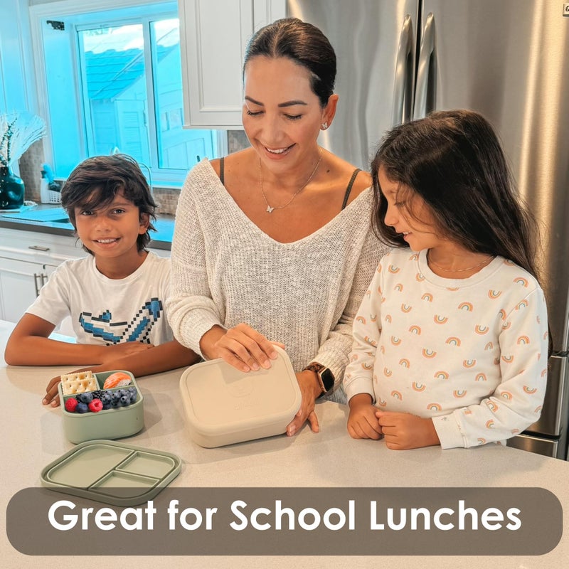 Ali+Oli Silicone Bento Box (Pine) Lunch Box for Kids, Toddlers, Preschoolers & Adults | BPA-Free and Spill-Proof | Ideal for School, and On-the-Go Meals| Perfect for Lunch, Snacks, and Meals - Image 5