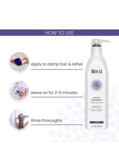 Violet Shampoo - Purple Shampoo For Blonde Hair - Instantly Brightens & Washes Away Brassy Yellow Tones On Blonde, White & Grey Hair - Paraben Free & Sulfate Free, 10.1 Fl Oz