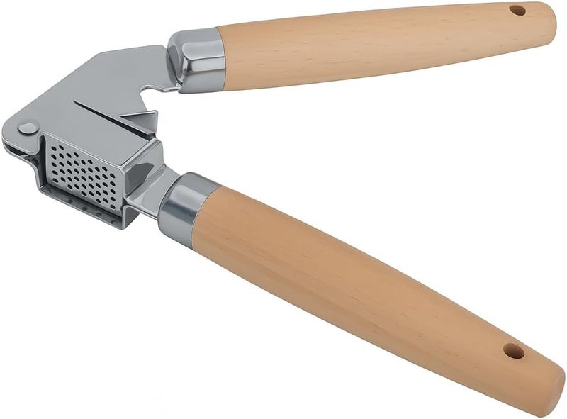 FITTO Stainless Steel Garlic Press – Ergonomic Kitchen Essential for Crushing Garlic and Shallots, Removable Basket for Easy Cleaning, and Durable Construction - Image 1