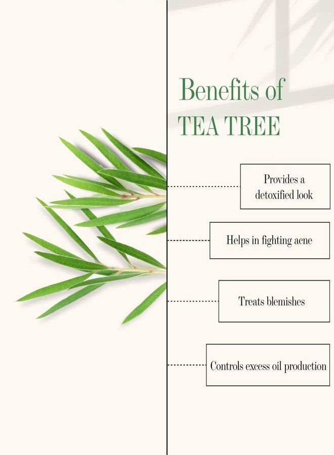 جود فايبز غسول الوجه اللطيف بزيت شجرة الشاي من جود فايبز، 120 مل | منظف لطيف ومرطب ومضاد لحب الشباب لجميع أنواع البشرة | يتحكم في إفراز الدهون | خالٍ من البارابين والزيوت المعدنية - Image 4