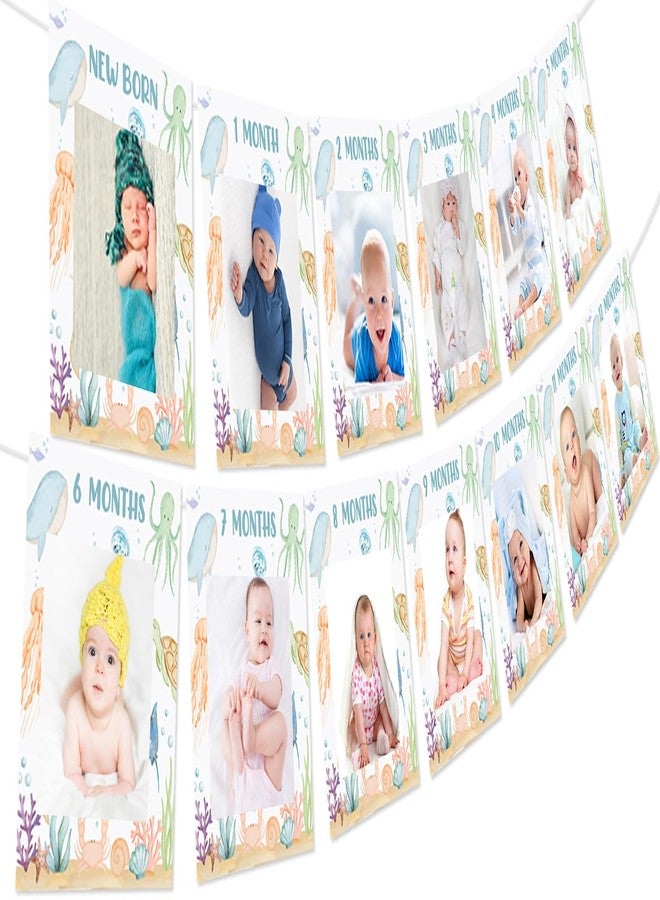 Fangleland Under The Sea 1st Birthday Photo Banner Decorations for 1 Year Old Boys Girls, Ocean Animal Photo Banner From Newborn to 12 Months Monthly Milestone First Birthday Party Supplies - Image 1