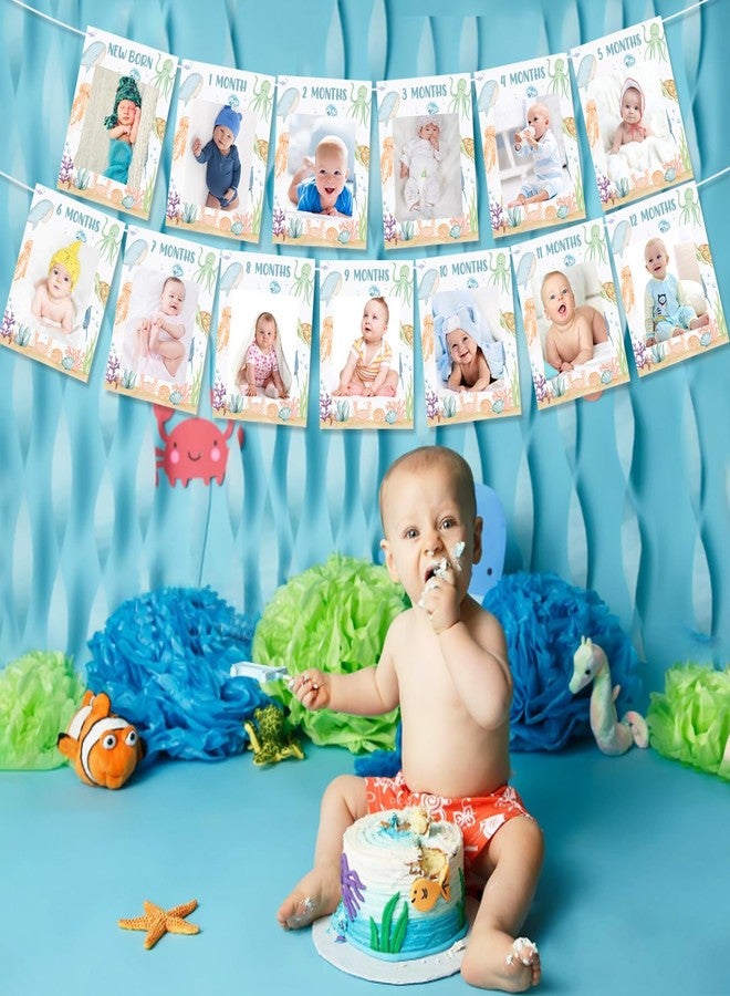 Fangleland Under The Sea 1st Birthday Photo Banner Decorations for 1 Year Old Boys Girls, Ocean Animal Photo Banner From Newborn to 12 Months Monthly Milestone First Birthday Party Supplies - Image 4