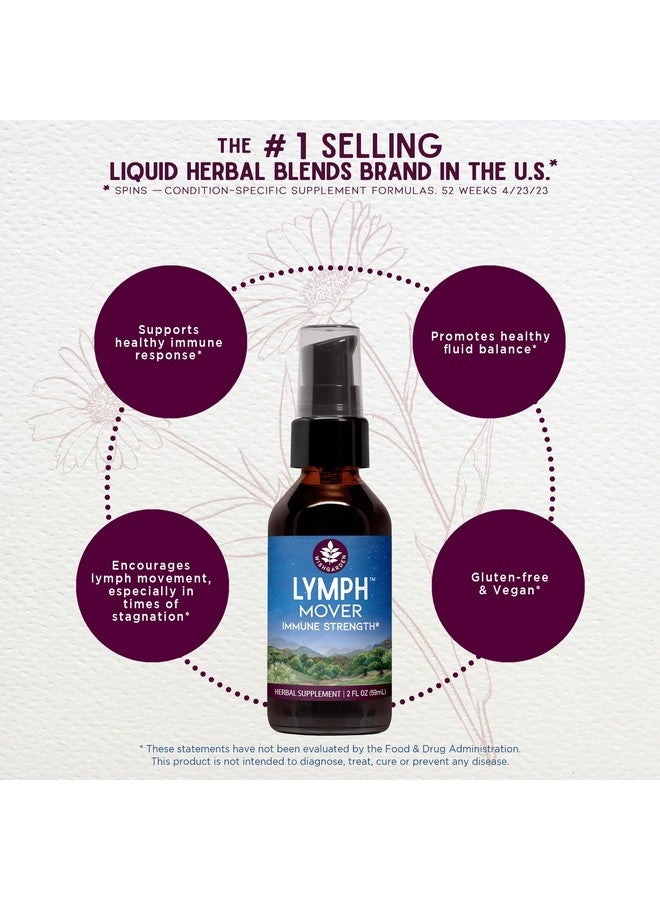 Wishgarden ويش جاردن هيربز ليمف موفر مناعة قوية - مكمل طبيعي لتنظيف وتصريف الليمفاوية بالأعشاب مع الإخناسيا لدعم المناعة، يدعم وظيفة نظام الليمفاوية الصحي، 2 أونصة - Image 3