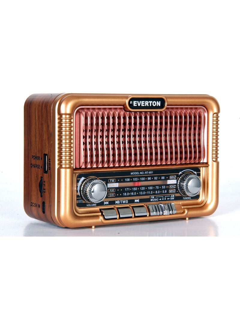Newnet - RT-651 Both Solar and Rechargeable Nostalgic FM Radio - Bluetooth Speaker - Replaceable Battery Feature - Solar Powered Radio - Image 1