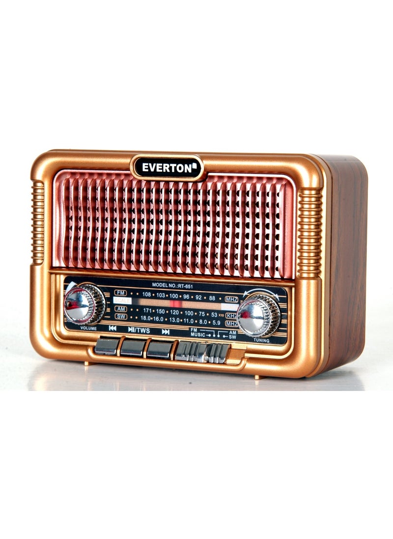 Newnet - RT-651 Both Solar and Rechargeable Nostalgic FM Radio - Bluetooth Speaker - Replaceable Battery Feature - Solar Powered Radio - Image 1