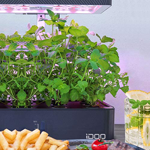 iDOO Seed Pods kit for Hydroponics System, with 12 Growth Sponges, 12 Grow Baskets, 12 Pod Labels, 12 Grow Domes, 2 Plant Food, Compatible with All Brands of Hydroponics Supplies - Image 2