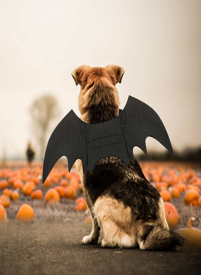 Rypet Dog Bat Costume - Halloween Pet Costume Bat Wings Cosplay Dog Costume Cat Costumes for Party M - Image 5