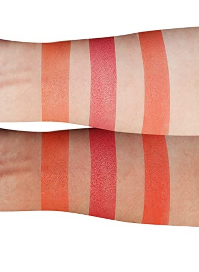 كلارا لمستحضرات التجميل باليت كونتور برونزي أحمر خدود وإضاءة من كلارا كوزمتكس - باليت مكياج للوجه بلمسة نهائية مطفية ولامعة - أنتيمابل - 0.35 أونصة - Image 5