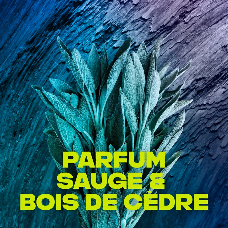 Axe Apollo Shower Gel 250 ml - Image 3