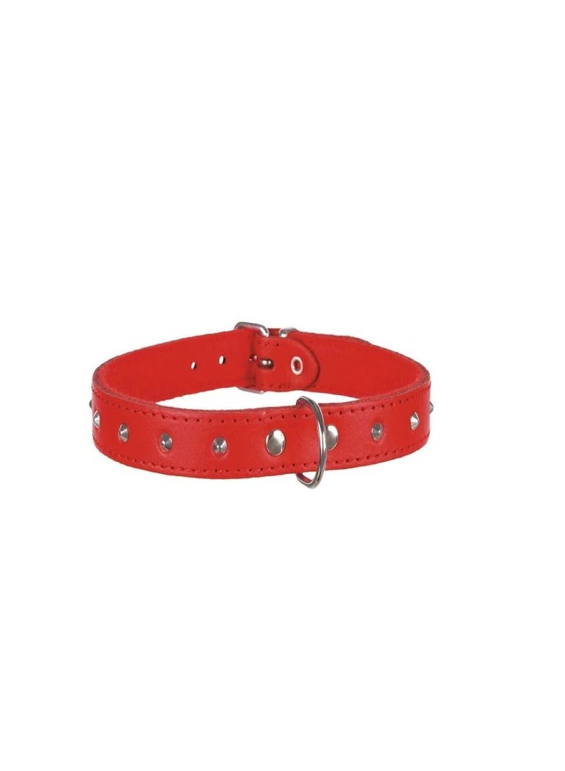 Trixie Basic Red Collar With Studs For Dogs - Image 3