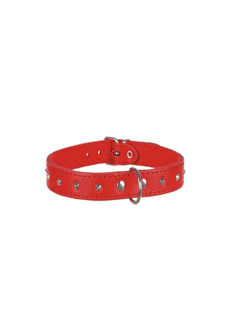 Trixie Basic Red Collar With Studs For Dogs - Image 1