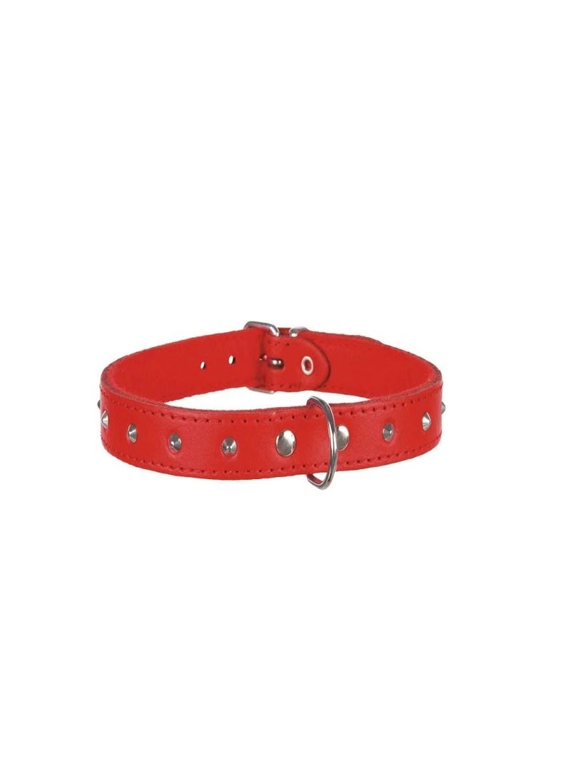 Trixie Basic Red Collar With Studs For Dogs - Image 2