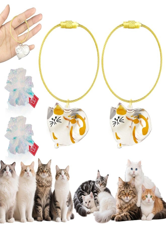 ZPSOX Cat Hair Keychain, 2Pcs Cat Hair Storage Bottle，Pet Fur Keepsake,Pet Hair Storage/Memorial Keychain,Cute Pet Memorial Gifts,[C Model] - Image 1