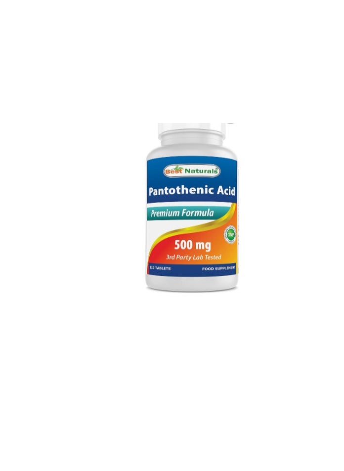 Pantothenic Acid 500 mg 120 Tablets - pzsku/Z21C65807F5280F3C68CAZ/45/_/1735400648/b1498703-a47c-4eec-ab86-f56bd23b6529