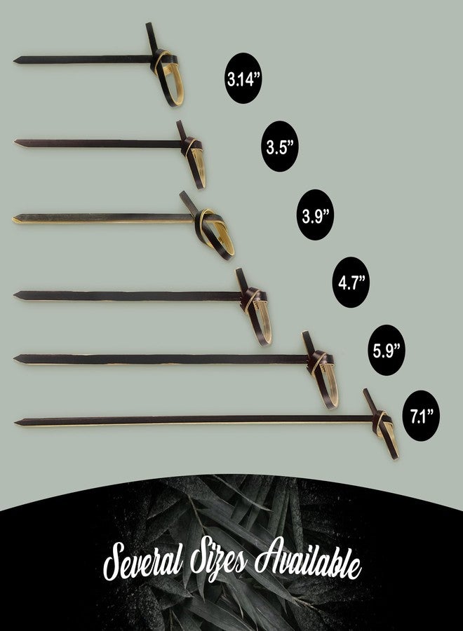 بامبو إم إن أعواد خيزران معقودة من بامبو إم إن، 3.5 بوصة، سوداء اللون، مثالية لتقديم الكوكتيلات والمقبلات وسندويشات الفاكهة، مناسبة للمناسبات الخاصة، والأعياد، والمطاعم، أو حفلات البوفيه، 200 قطعة - Image 3