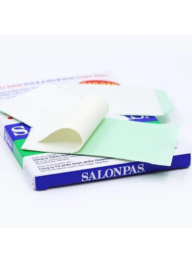 سالون باس 20 رقعة علاج الألم تخفيف الرقعة، تخفيف الألم لراحة الظهر، نيك شولدر، آلام الركبة و العضلات، تخفيف الألم لمدة 8 ساعات - Image 4