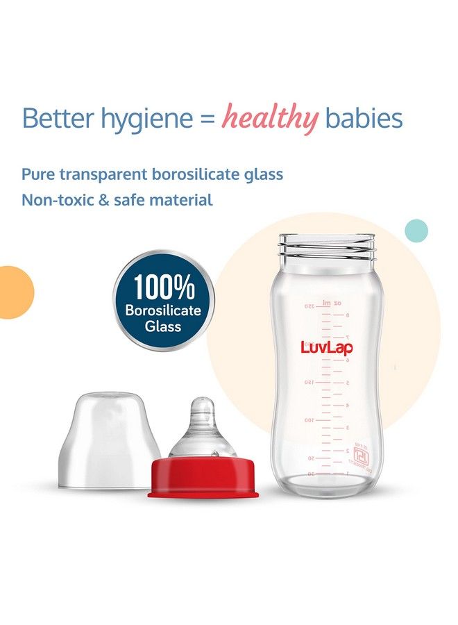 Luvlap زجاجة رضاعة ناتورا فلو ذات العنق الواسع للمواليد الجدد؛ الرضع؛ الأطفال حتى 3 سنوات خالية من BPA بشكل مريح وسهلة الحمل مع حلمة مضادة للمغص 250 مل - Image 4