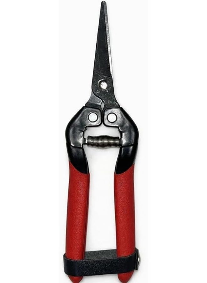 Grape pruning shears, designed for cutting grapes, fruit clusters, and flowers. - Image 2