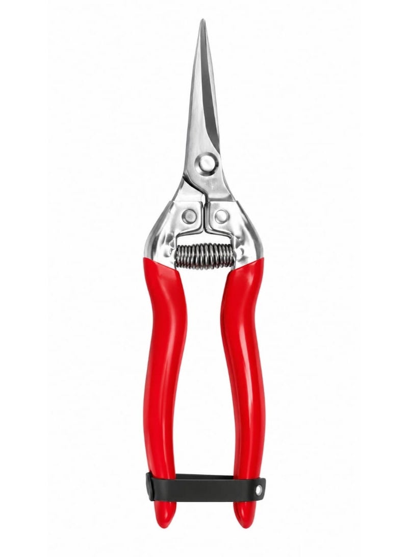 Grape pruning shears, designed for cutting grapes, fruit clusters, and flowers. - Image 1
