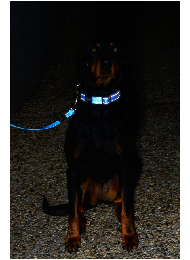 Rogz - Reflective Dog Leash for Extra Large Dogs, 1" wide, 6' long, Red - Image 1