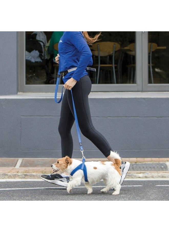 Rogz - Reflective Dog Leash for Extra Large Dogs, 1" wide, 6' long, Red - Image 1