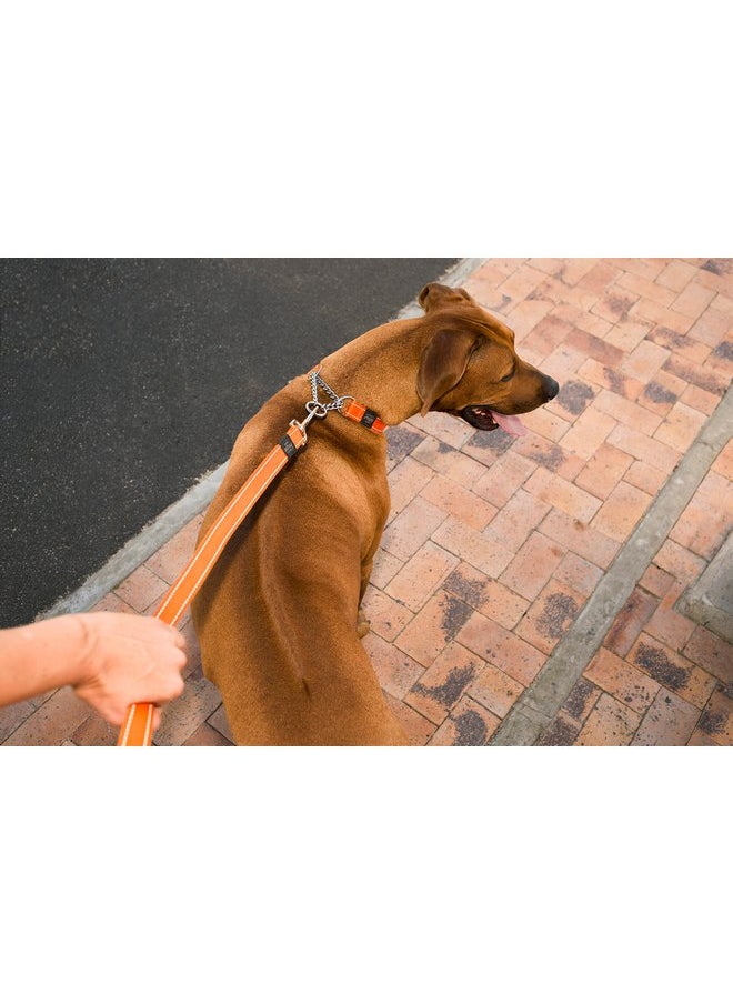 Rogz - Reflective Dog Leash for Extra Large Dogs, 1" wide, 6' long, Red - Image 1