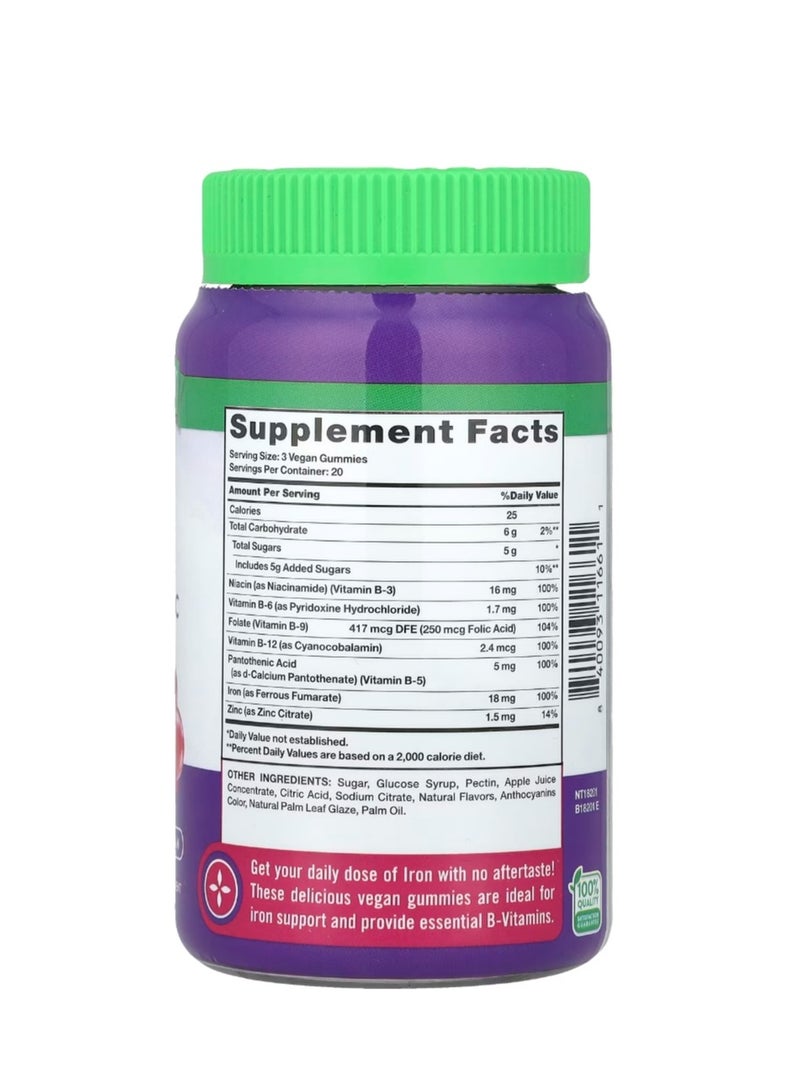 نايتشورز تروث الحديد الأساسي + فيتامينات ب، علكات الزنك، العنب الطبيعي، 60 علكة - Image 2