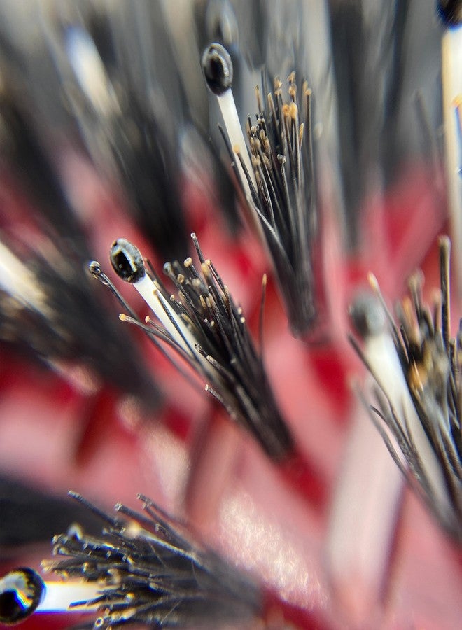 Phillips Brush Mini Monster Vent 6 Poly-Tipped Professional Hair Brush (2” Diameter Barrel) - Vented Blowout Hairbrush with Nylon Reinforced Boar Hair Bristles, Beech Wood Handle with Rubber Grip - Image 4