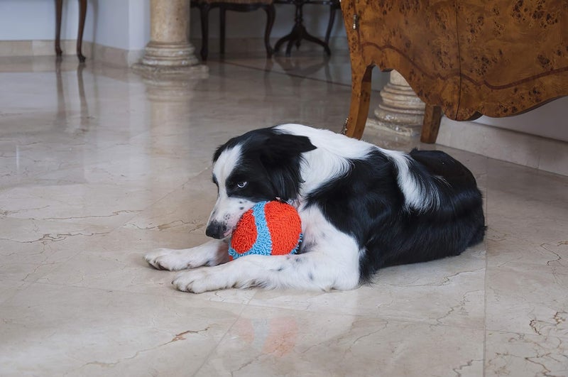 Chuckit! ! Indoor Fumbler Toy for Dogs, Soft Chenille Fabric Dog Toy for Indoor Fetch Play, Bounceflex Core Technology, Soft Bounce, Safe and Secure Indoor Play for Dogs - Image 2