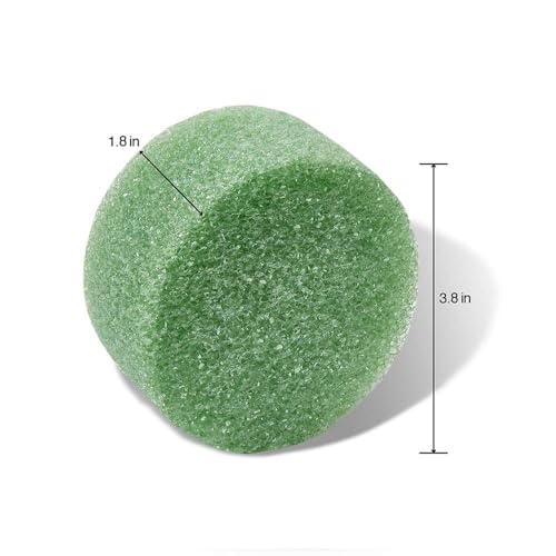 FloraCraft FloraFōM Disc 1.8 Inch x 3.8 Inch Green - Image 2