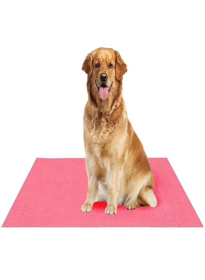 Fancy Steps Waterproof Reusable Washable Pee Pads for Dogs | High Absorption Puppy Training Pads(100cm X 140cm) Violet - Image 1