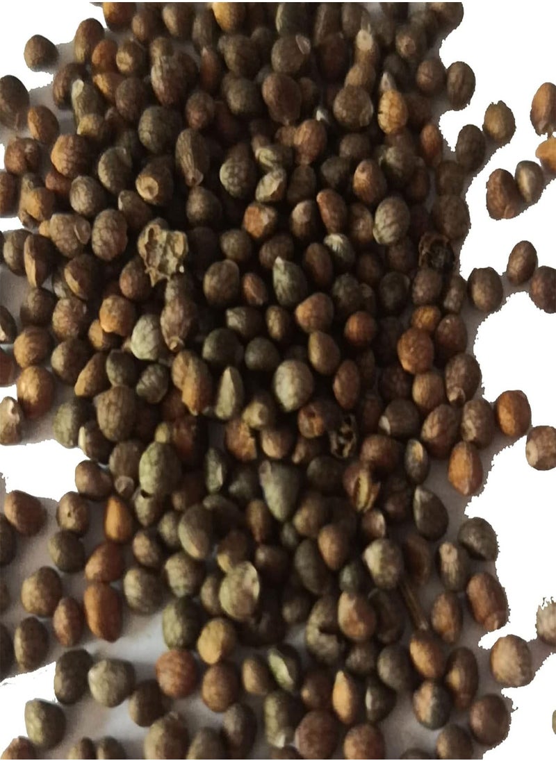 GGOOT - Seed for Planting50Pcs/Bag Christia Obcordata Seeds Water Needed Easy to Survive Eco-friendly Green Leaf Christia Obcordata Seedlings for Patio for Garden-Seed - Image 1