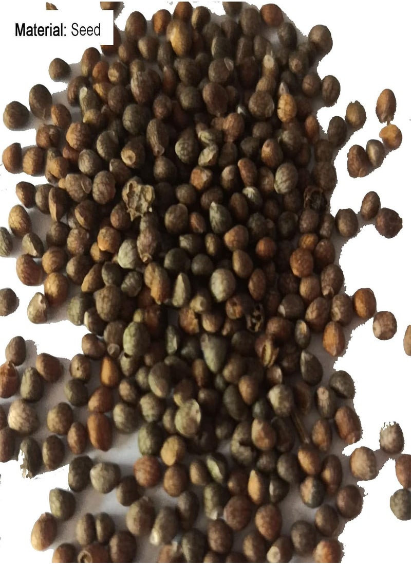 GGOOT - Seed for Planting50Pcs/Bag Christia Obcordata Seeds Water Needed Easy to Survive Eco-friendly Green Leaf Christia Obcordata Seedlings for Patio for Garden-Seed - Image 1