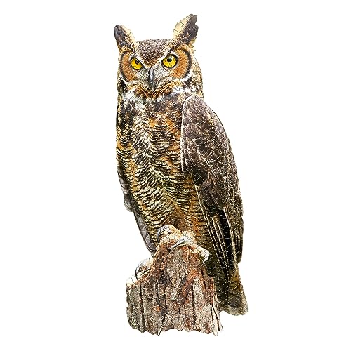 Madd CAPP I AM Great Horned OWL 300 Piece Jigsaw Puzzle BirdShaped Puzzle 29x12 Finished Size Includes Fun Fact Booklet - Image 5