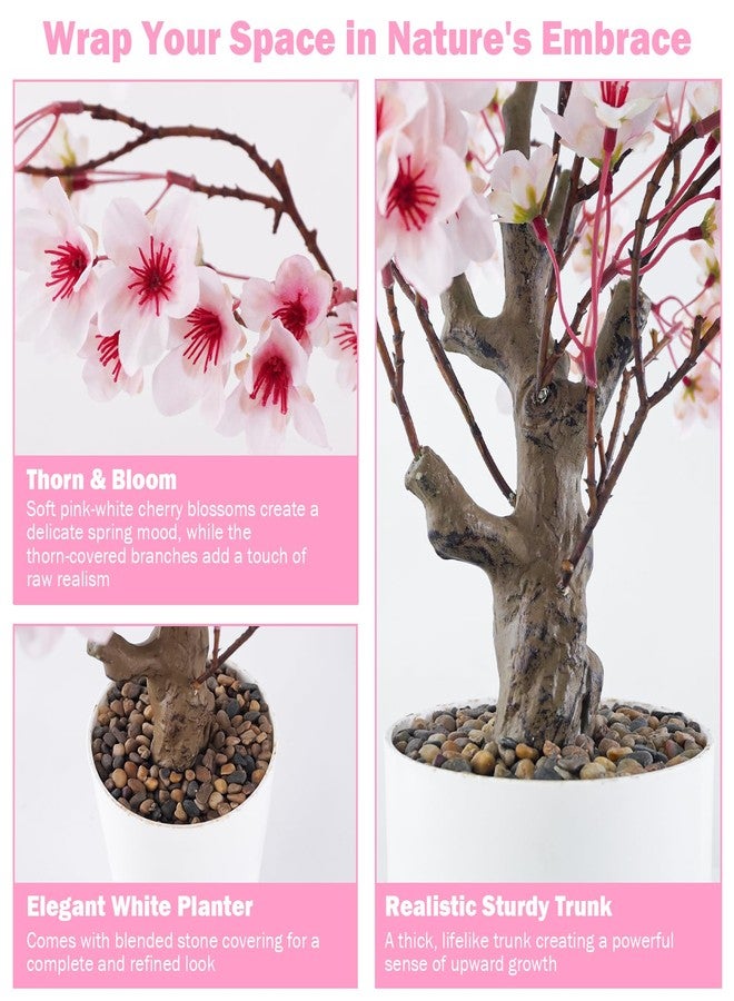 Caxchiling Cherry Bloosom Tree 2FT, Small Tabletop Tree with Vase Pot, Artificial Pink Flower Blossom Plants for Centerpiece, Home Office Desk Decor for Spring, Living Room Bedroom Wedding Party Decor - Image 3