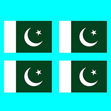 inking house 4 X Pakistan Flag Temporary Tattoo Lasts 1 week Pakistani moon star crest Flag - Image 1