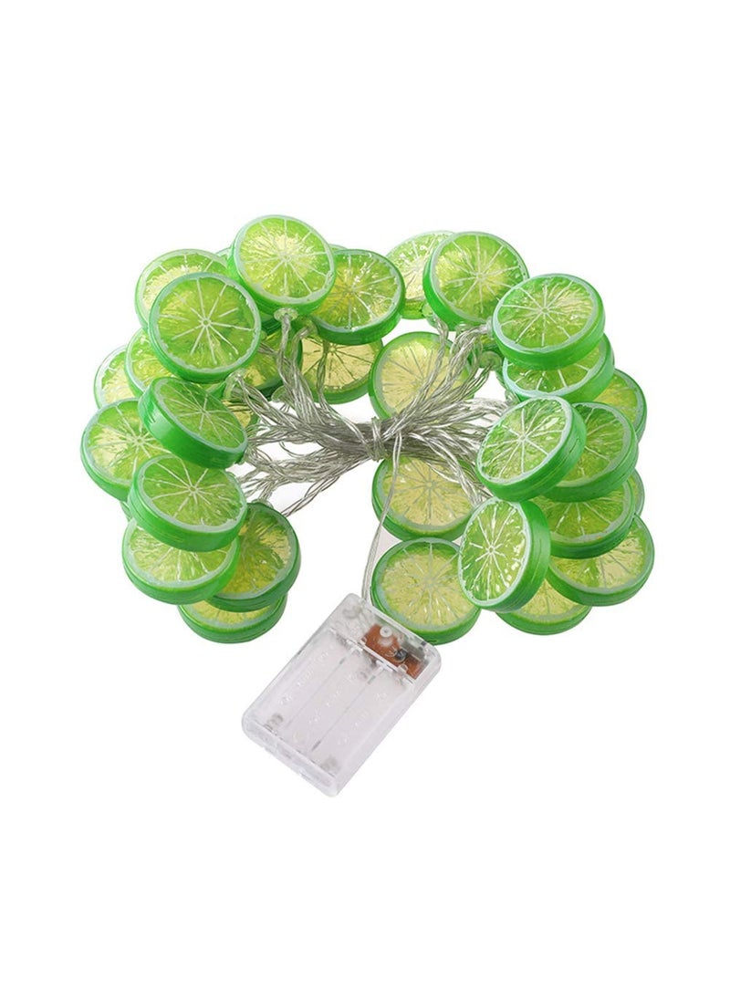 TINKDAS - TINKDAS Lime Slice String Lights LED Garden String Lights Decorations for Fence Deck Balcony Camping 3M - Image 1