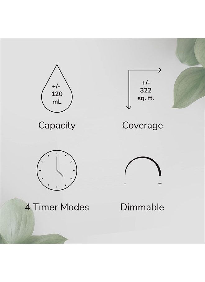 Plant Therapy Metro Stone Diffuser Gray - Essential Oil Diffuser - Sleek Design for Home & Office, 8 Hours of Diffusion, Auto Shut Off, Soft Ambient Lighting, Four Timer Settings  - Image 3