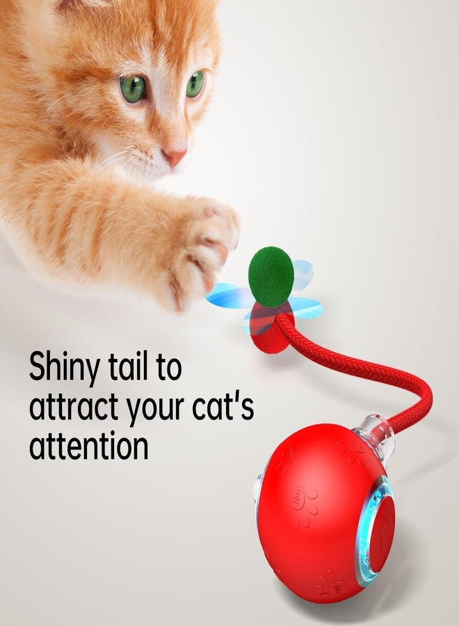 ألعاب تفاعلية للقطط المنزلية - ألعاب حيوانات أليفة مع Speedy Tail 2.0، هدية مثالية لأعياد الميلاد والكريسماس، ألعاب للقطط البالغة المنزلية التي تشعر بالملل، تعمل بالحركة، إصدار مطور جديد لعام 2025، قابلة لإعادة الشحن عبر منفذ USB (أحمر) - Image 2