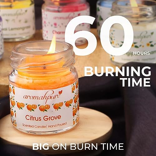 Aromahpure Scented Candles (60 Hours) (100% Natural Wax) | Joyful Lavender, Citrus Grove, Earth Scents, Charming Rose, Thai Lemongrass, Prince of Citrus Fragrance Candles for Home & Gift Sets - Image 5