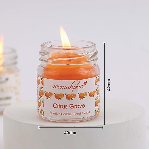 Aromahpure Scented Candles (60 Hours) (100% Natural Wax) | Joyful Lavender, Citrus Grove, Earth Scents, Charming Rose, Thai Lemongrass, Prince of Citrus Fragrance Candles for Home & Gift Sets - Image 2