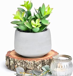 Kurrajong Farmhouse Kurrajong Farmhouse Faux Succulent in Pot - Faux Plants Decor - 7" x 4.5" - Feaux Plant in Pot - Fake Succulent Potted  - Image 1