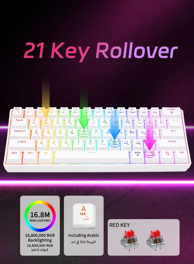 UCHUANG 61-Key English Arabic Mechanical Keyboard, Red Switch Hybrid Light Compact Mini Wired Keyboard for PC, Mac E-sports Portable Gaming Keyboard - White - Image 3