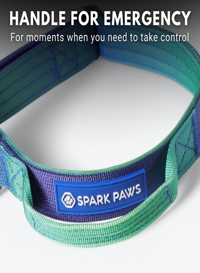 Spark Paws Tactical Dog Collar - Heavy Duty, Premium Quality, Thick and Durable for Large and Medium Dogs - Lime Wave - XS - 1" - Image 4