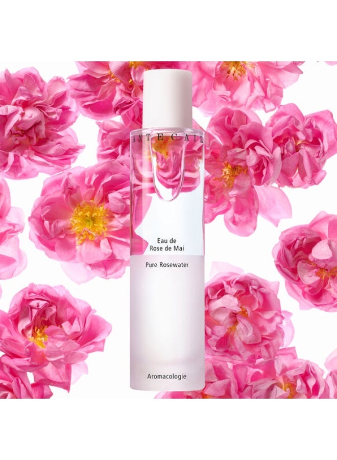 تشانتيكايل ماء ورد شانتي كاي النقي 100 مل - Image 3