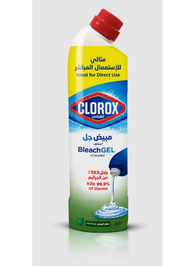 جل مبيض + منظف - معطر النعناع 750 مل