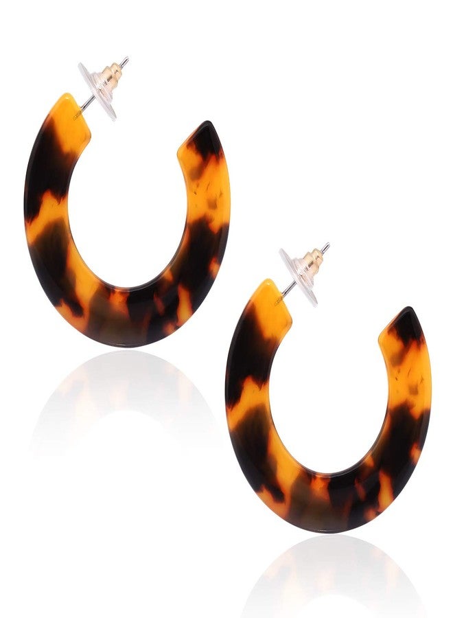 HSWE Leopard Hoop Earrings for Women Tortoise Shell Earrings Acrylic Earrings Resin Earring (Tortoise Shell) - Image 1